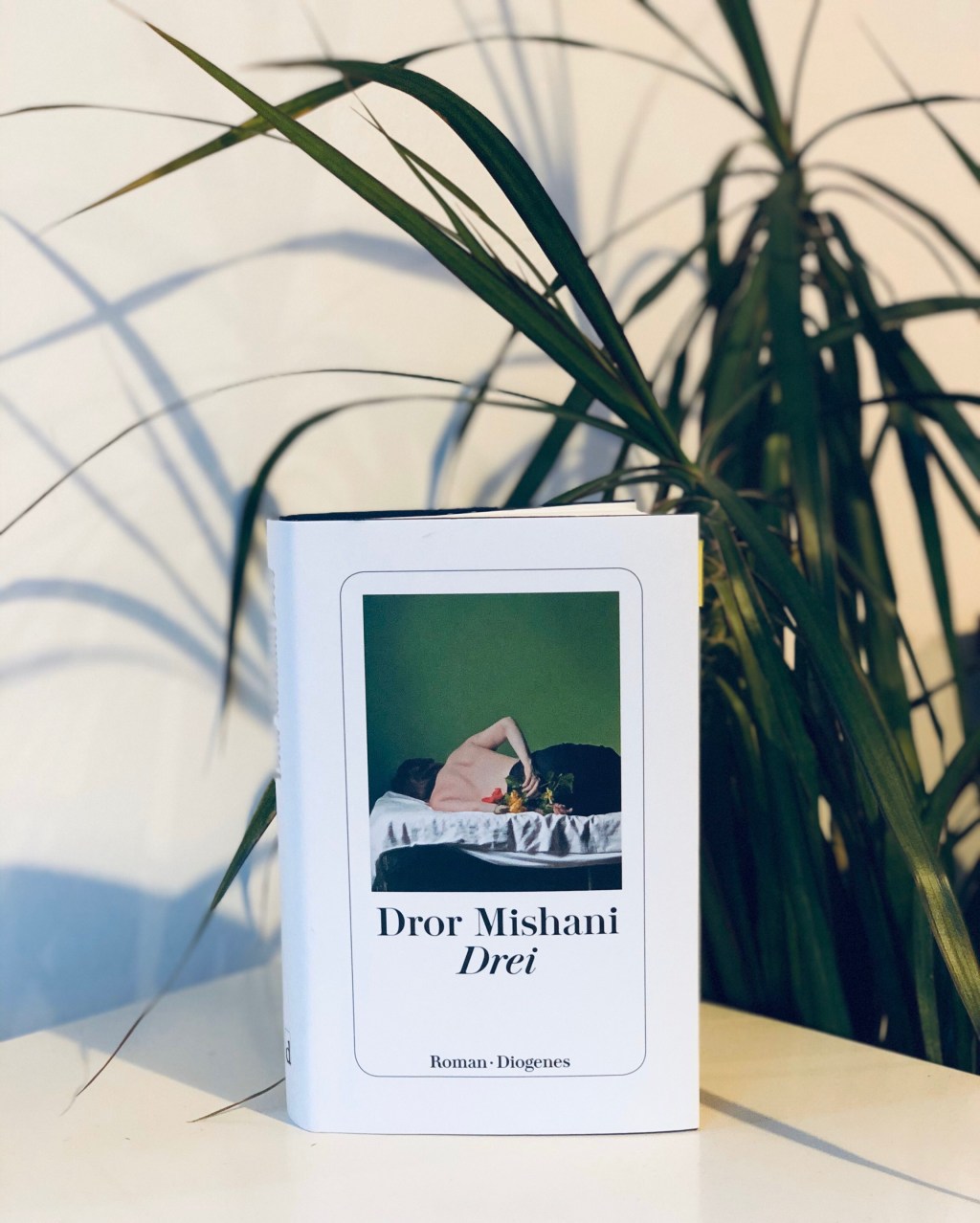 Drei * Dror&nbsp;Mishani